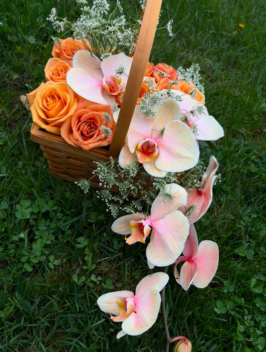 Orchid Rose Garden